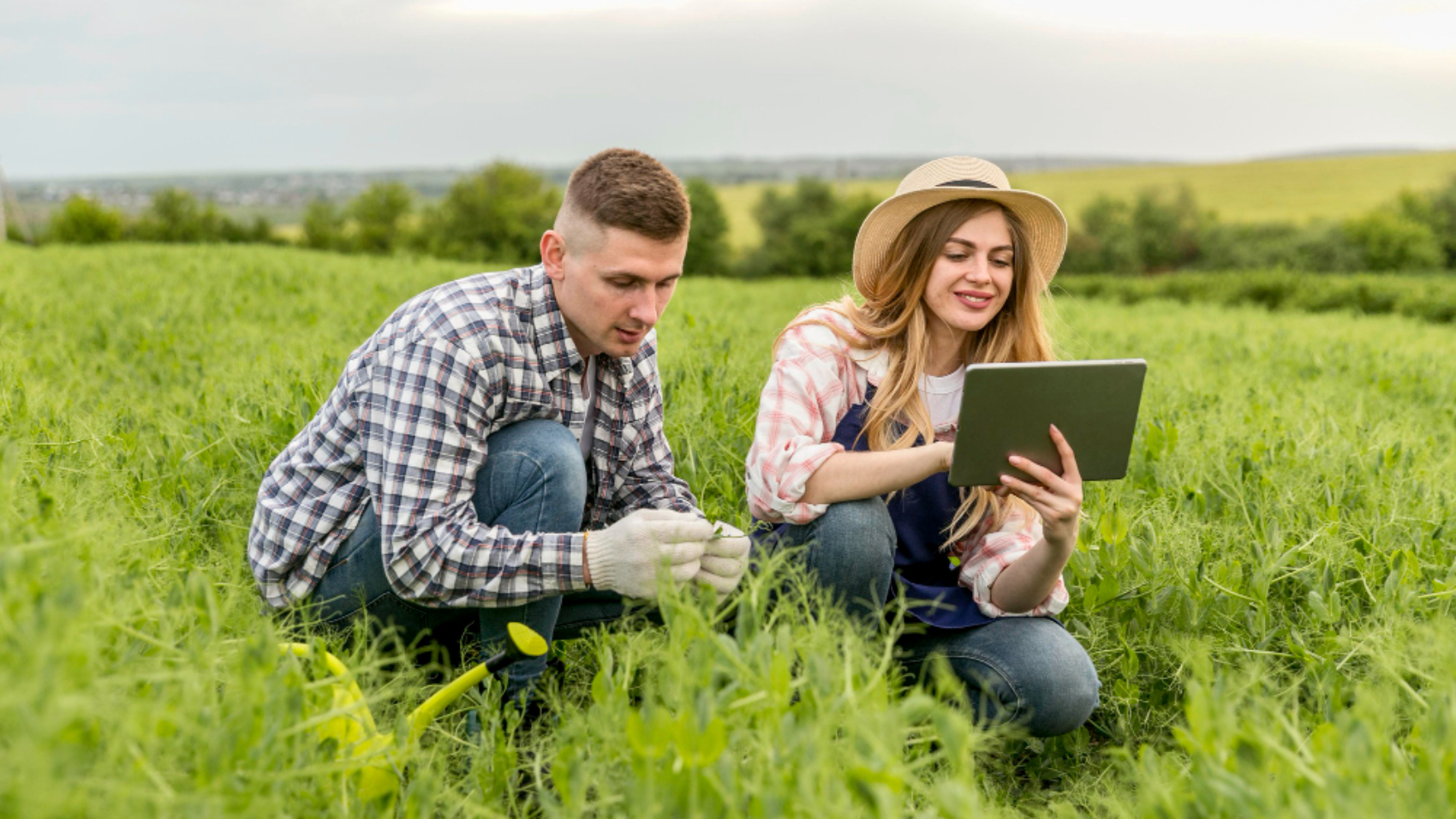 Profissionais do agronegócio analisando informações em um tablet no campo, utilizando tecnologia para comunicação interna e gestão das operações rurais.